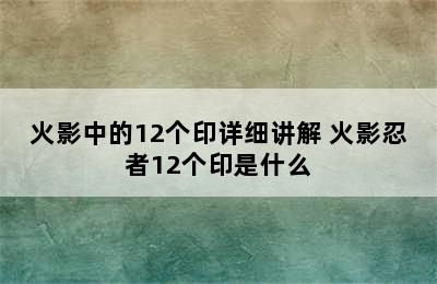 火影中的12个印详细讲解 火影忍者12个印是什么